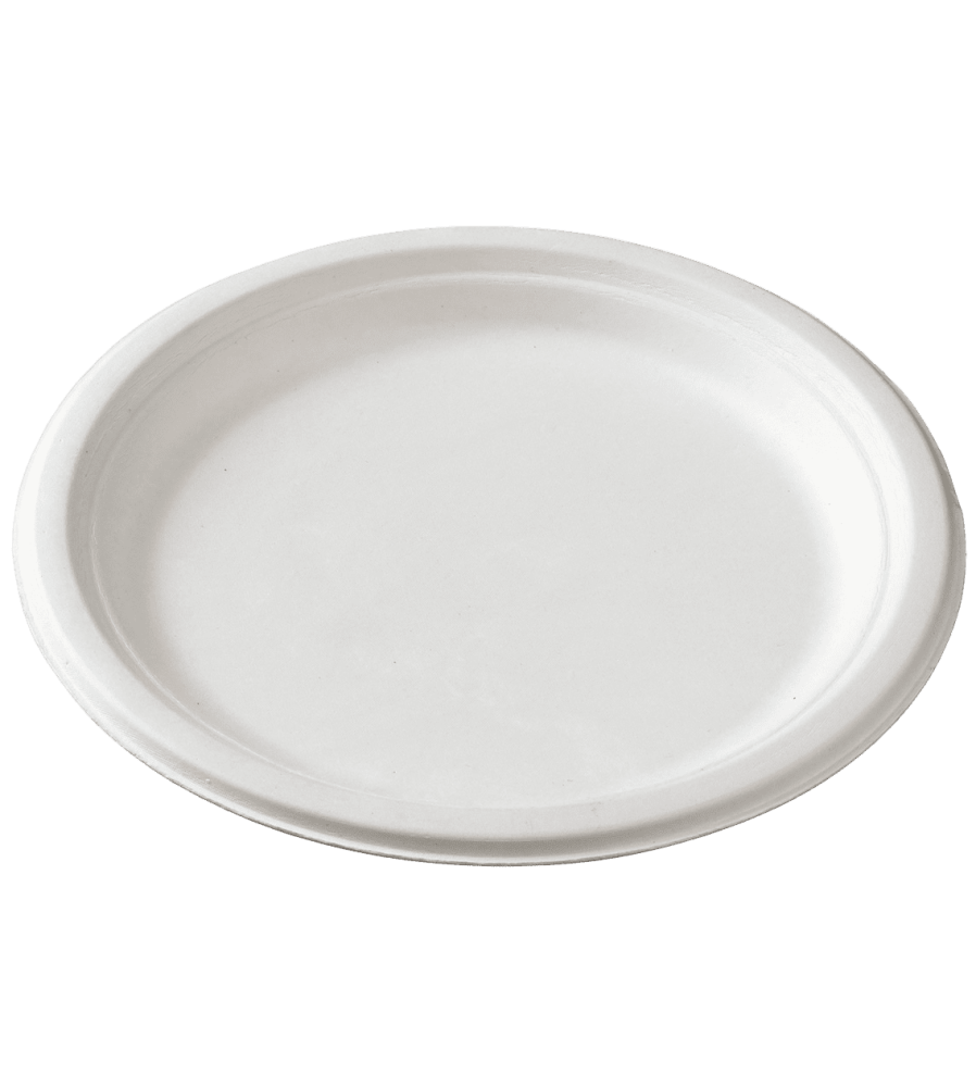 Assiettes Jetables 26cm – Lot de 50 unités